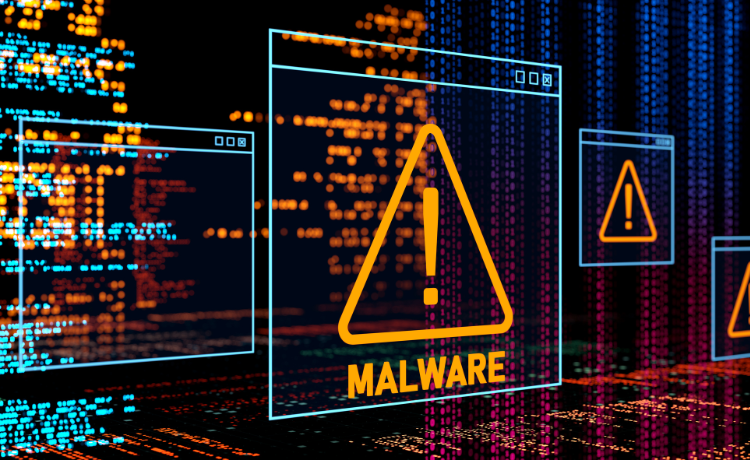 Security risk