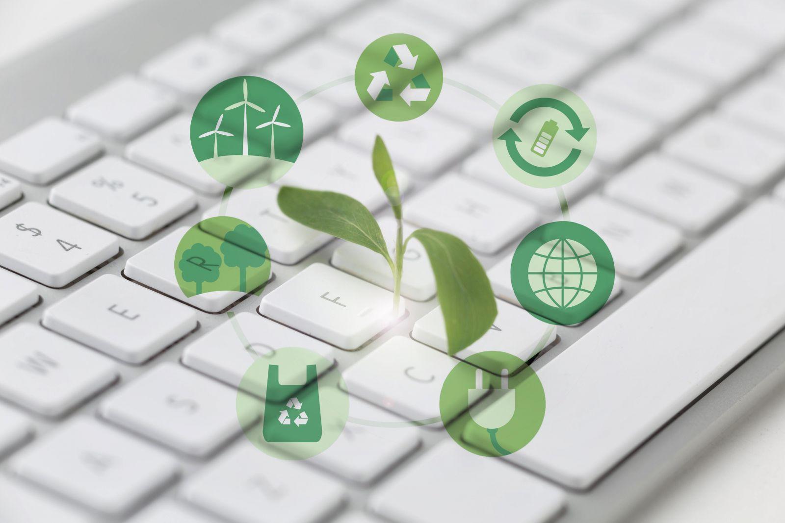 Small green plant growing between keyboard keys surrounded by green icons representing recycling, renewable energy and sustainability