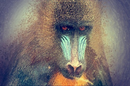 Mandrill-smtp-website-support Mandrill-smtp-website-support
