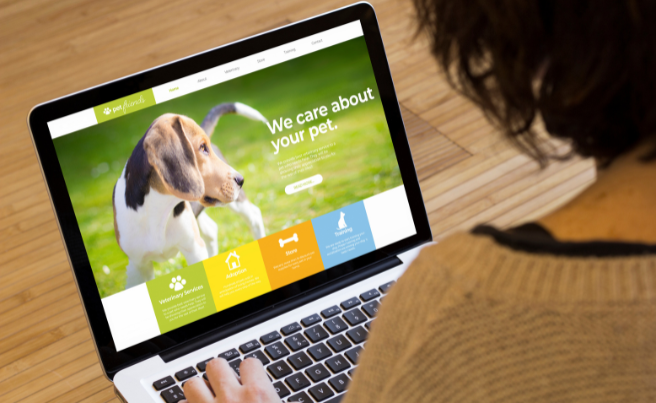 Person using a laptop showing a pet services website featuring a beagle and sections for veterinary services, adoption, store and training