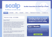 Scottish Association for Cleft Lip & Palate - 3rd Sector Website from Inspire Screenshot of the SCALP website homepage showing navigation menu and logo
