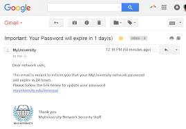 Screenshot of an email warning from MyUniversity about password expiry with instructions to update via a link