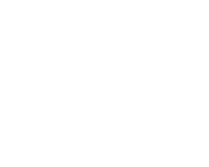 Shopify Partners white logo on transparent background