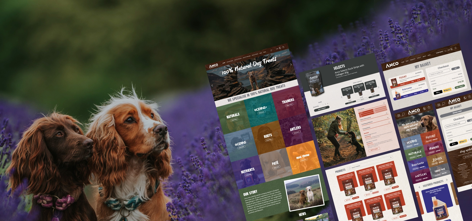 Website design showcase for ANCO natural dog treats featuring product categories, shopping basket, and dog imagery with purple flowers background