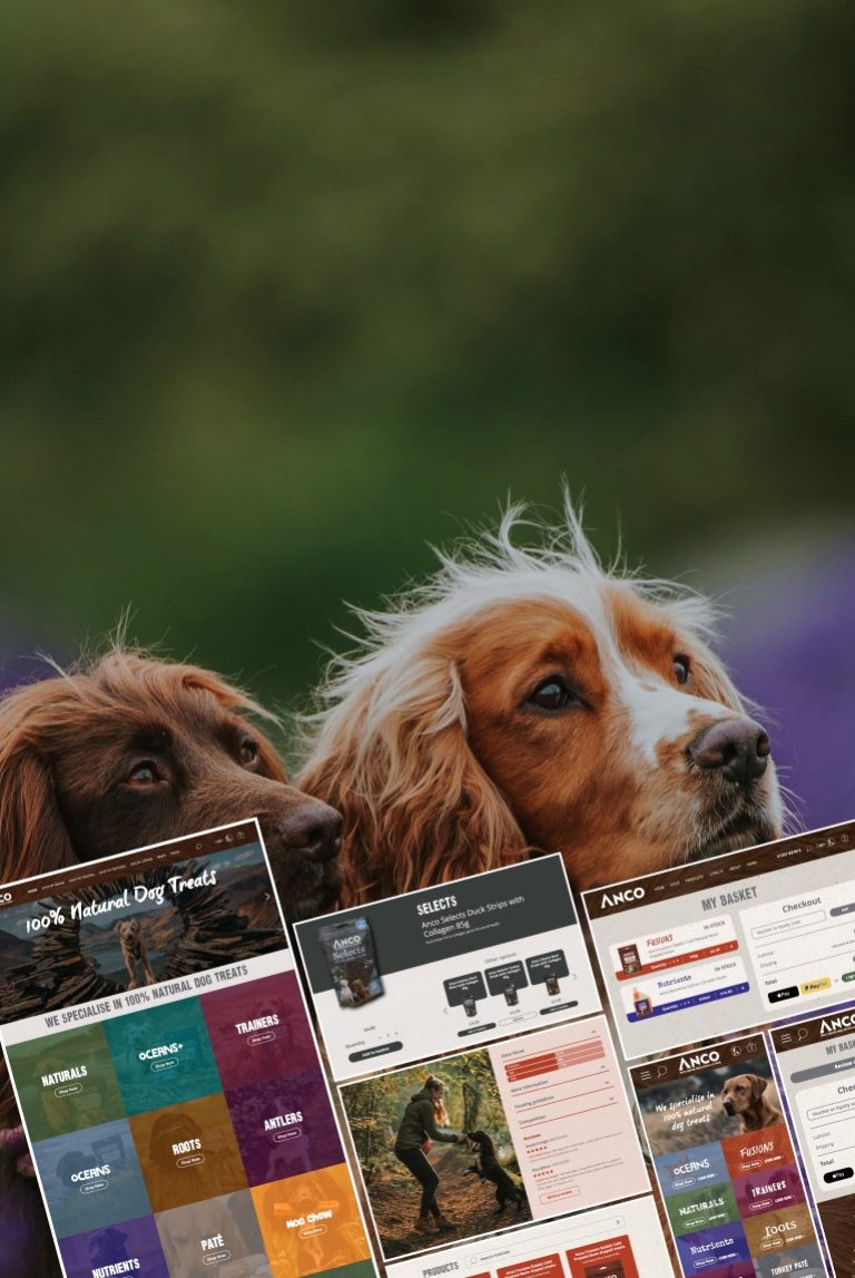 Two dogs looking attentively with overlapping mobile screens showing Anco website design mockups for natural dog treats